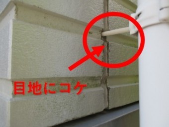 西宮市木造住宅壁こけ付着