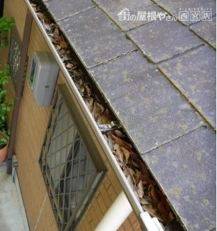 雨樋落ち葉