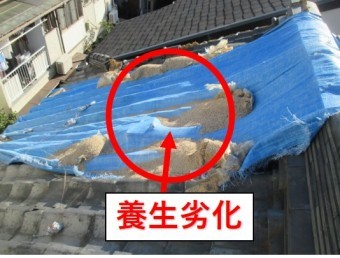 尼崎市瓦屋根落下防止養生