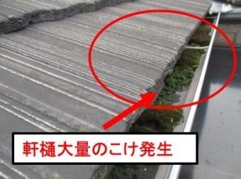 西宮市モニエル瓦こけ