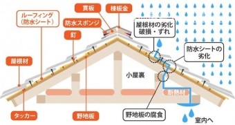 雨漏りの状態