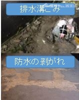 排水口ゴミ.防水のはがれ