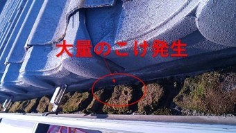 西宮市軒樋にこけ