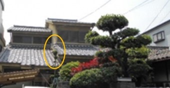 この部分だけ