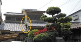 この部分だけ