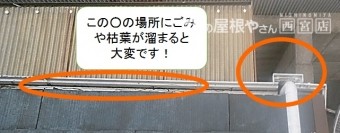 雨樋のメンテ時期