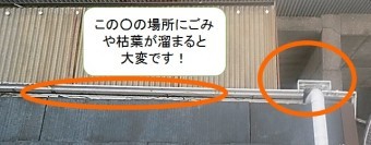 雨樋のメンテ時期
