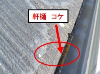 西宮市カラーベスト屋根こけ