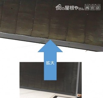 屋根にコケが出現