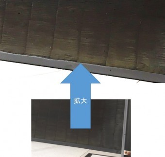 屋根にコケが出現
