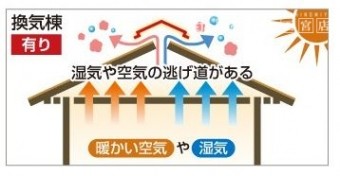換気棟有り