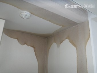 陸屋根雨漏り1