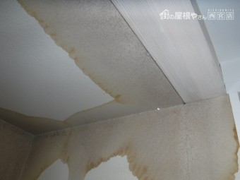 陸屋根雨漏り2