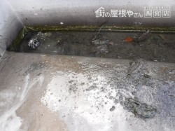 陸屋根清掃1