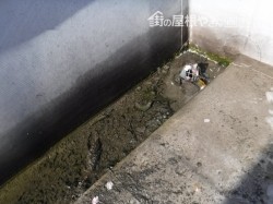 陸屋根排水溝清掃3
