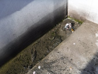 陸屋根雨漏り9