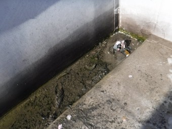 陸屋根雨漏り9