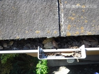 F様雨樋詰り清掃3