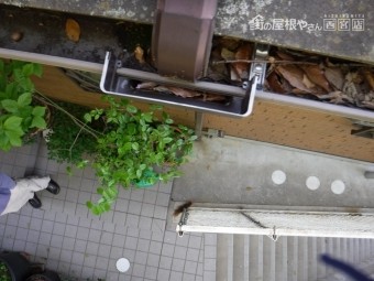 F様雨樋詰り清掃2