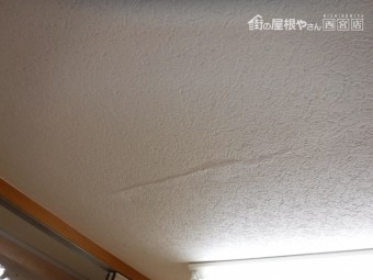 I社様雨漏り調査2
