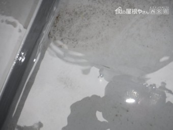 I社様雨漏り調査5