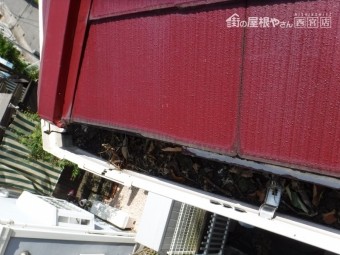 雨樋詰り4