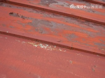 尼崎市雨漏り調査5