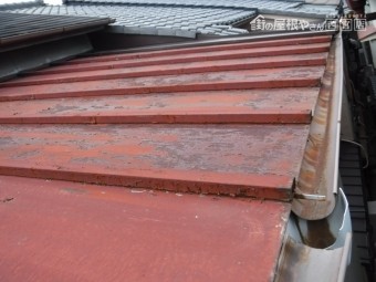 尼崎市雨漏り調査2