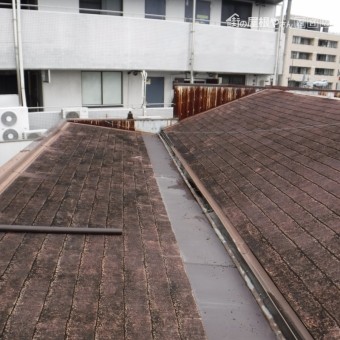 雨樋つまり清掃2