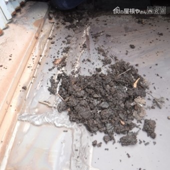 雨樋つまり清掃5