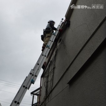 雨樋つまり清掃8