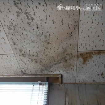 雨漏り