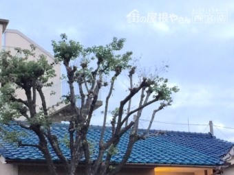 桟 瓦