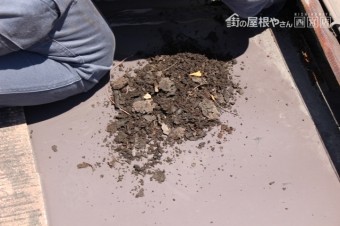 芦屋市雨漏り現場7