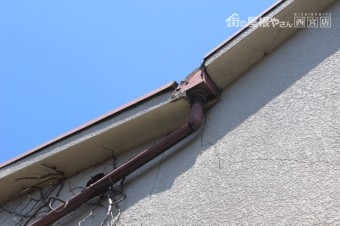 芦屋市雨漏り現場9