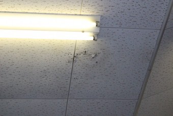 工場屋根雨漏り修理3