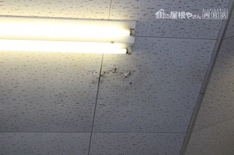 工場屋根雨漏り修理3