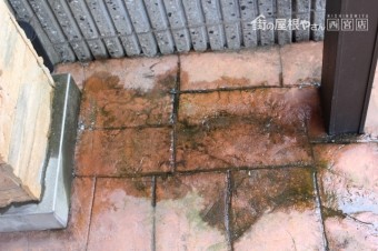 カーポート雨漏り3