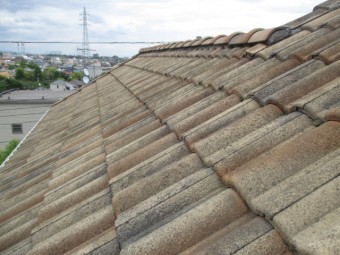 屋根全体の模様