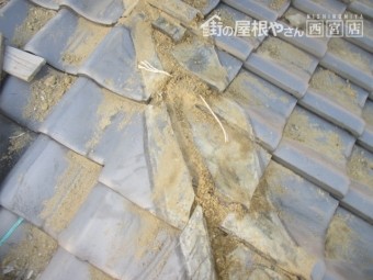 棟瓦土撤去