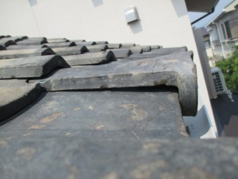 西宮市瓦表面の劣化によって発生したこけ