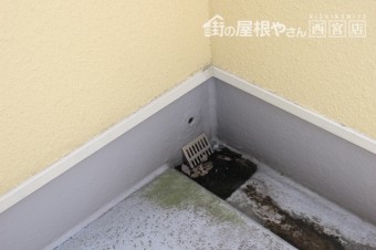 排水溝チェック
