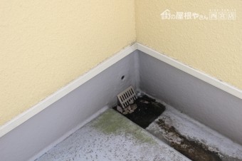 雨樋詰まり2