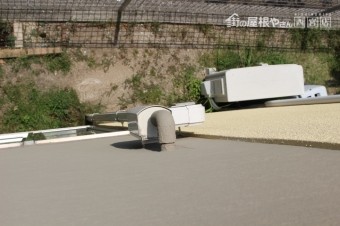 雨樋詰まり4