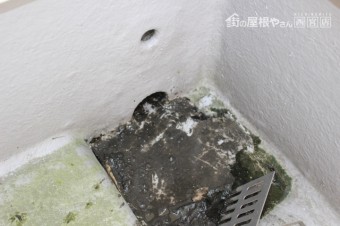雨樋詰まり3