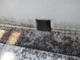 西宮市三階建てベランダ雨樋の確認
