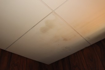 屋根葺替え現場調査3