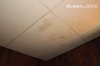 屋根葺替え現場調査3