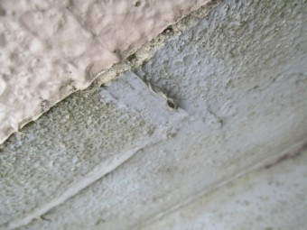 西宮市木造住宅屋上のベランダ傷んで色あせ