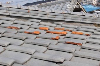 屋根調査